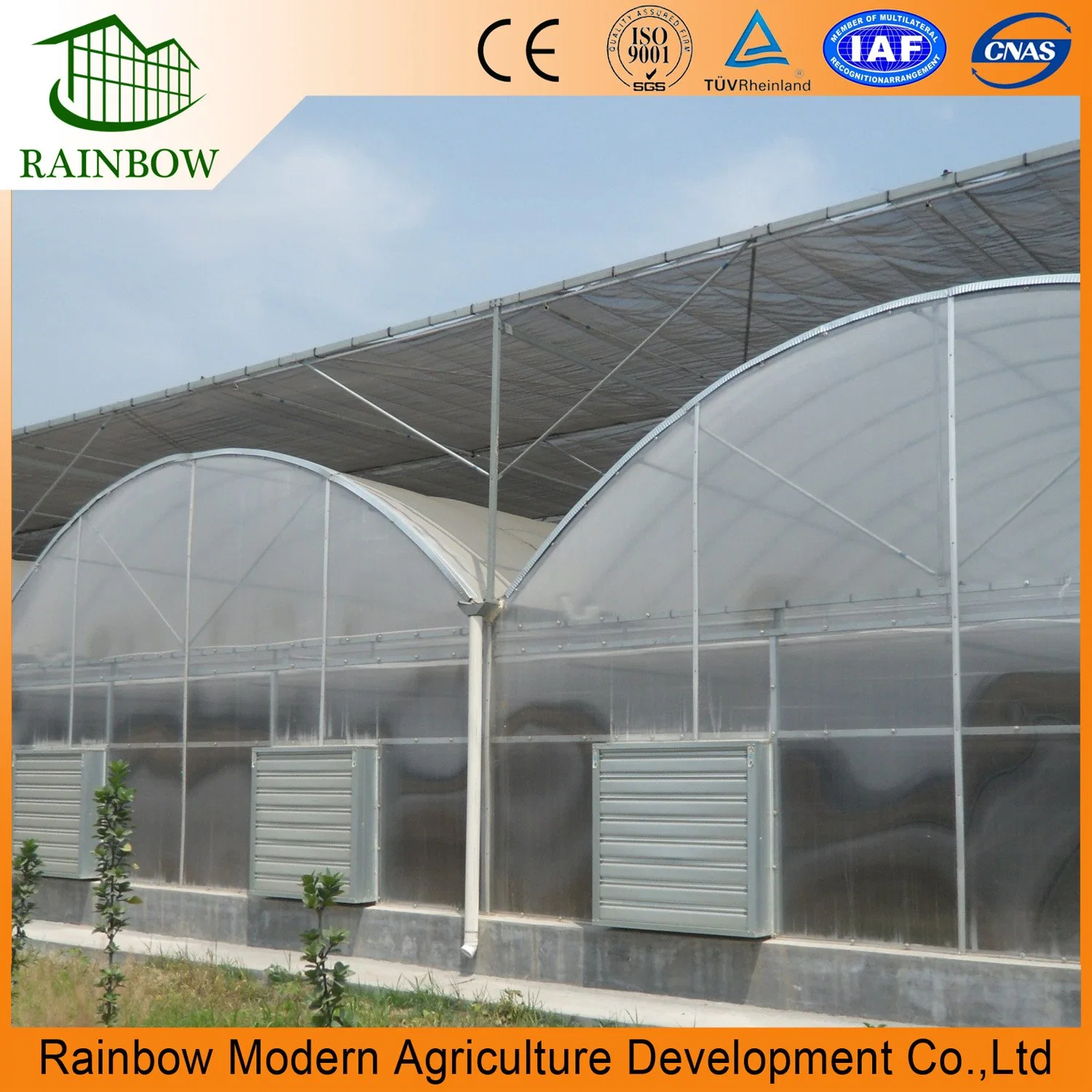 Hot Sale Multi Span 150/200 Microns Plastic Film Tunnel Greenhouse with Hydroponic Systems for Tomato/Cucumber/Vegetable/Fruit/Pepper/Eggplant Green Houses