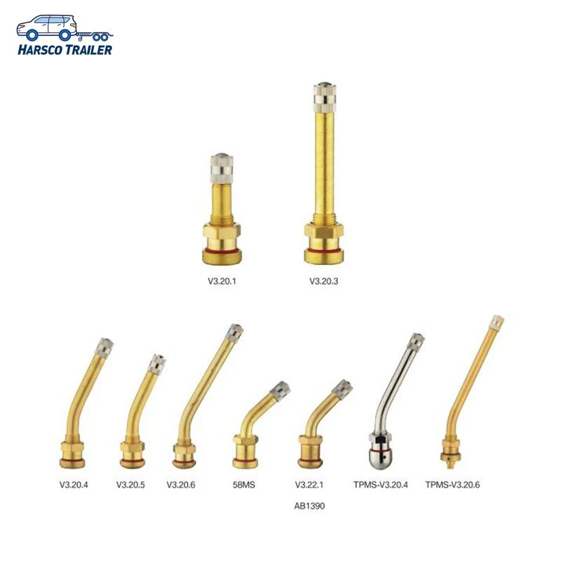 V3.20.1 European Style O-Ring Steel Clamp-in Brass Valves