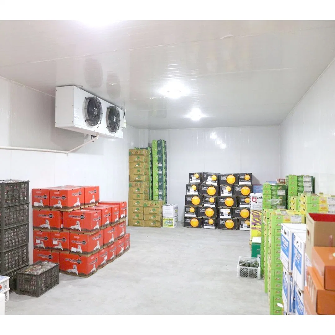 Walk in Cooler Refrigeration Cold Storage Freezer Chiller Cold Room