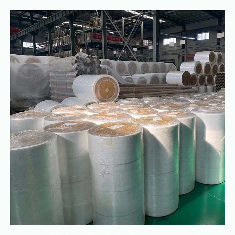 Wholesale OEM Polypropylene Nonwoven Rolll Fabric Waterproof PP Spunbond Nonwoven Fabric