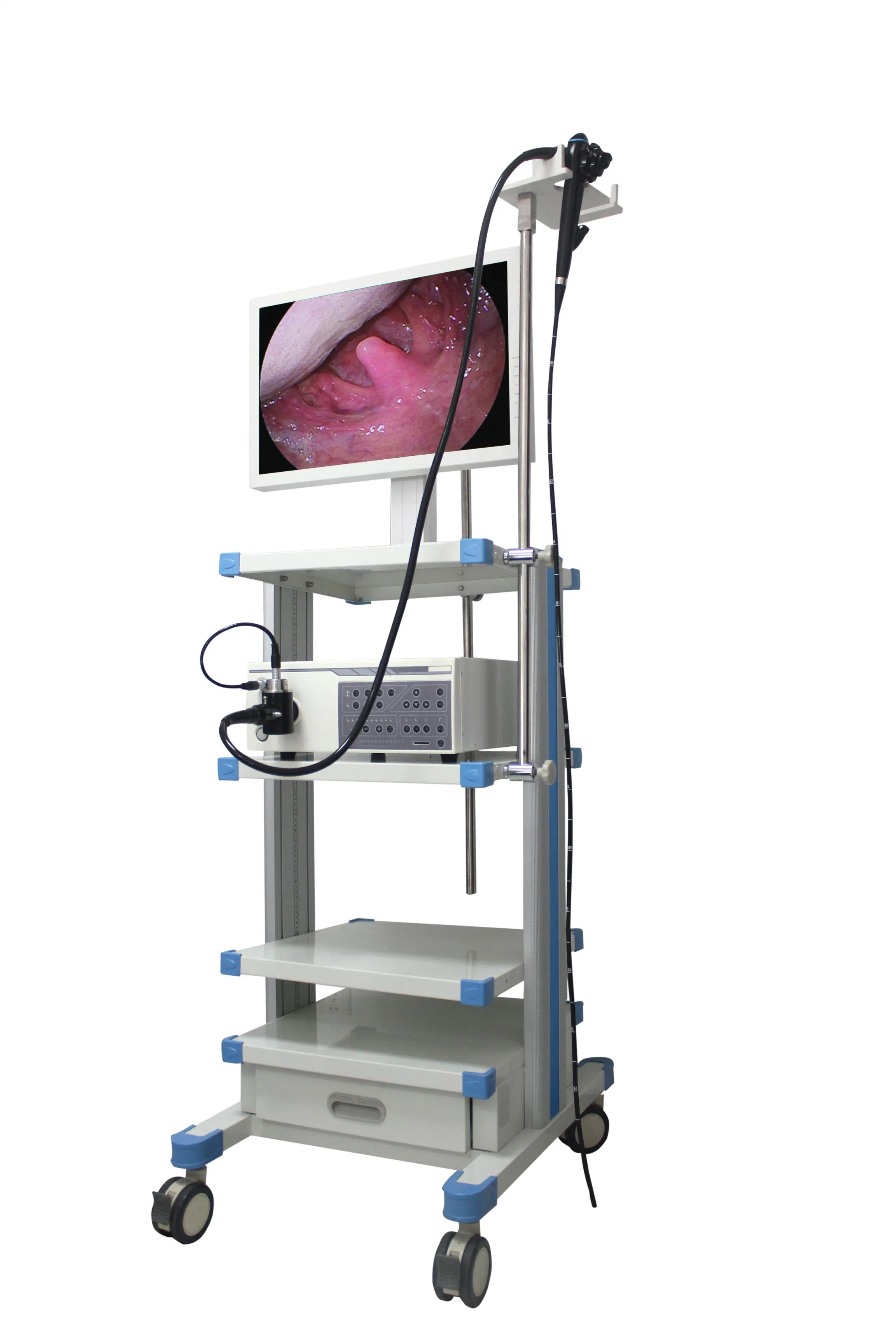 Manufacture Cleaning Veterinary Integrated Screen Cart Digital Endoscopy Camera System Endoscope Medical