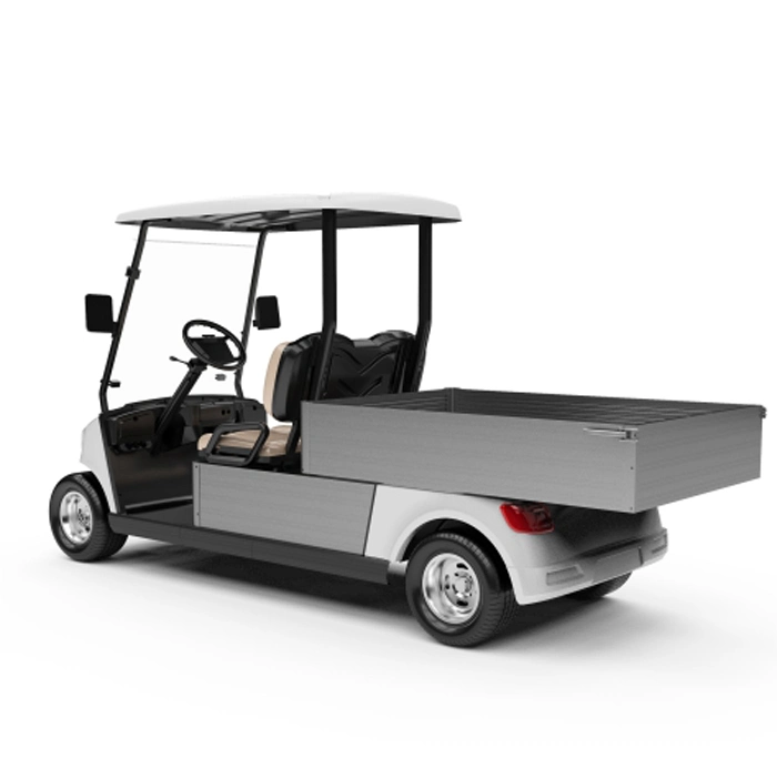 Vente à chaud 48 V batterie faire fonctionner véhicule utilitaire électrique Golf Voiture avec deux sièges (DG-M2 + coffre)