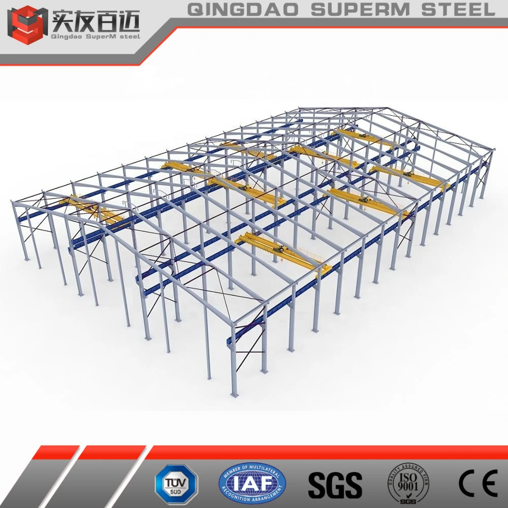 1000 Sqm Prefab Steel/Metal Structure Frame Plant for Production/Produce/Process/Storage