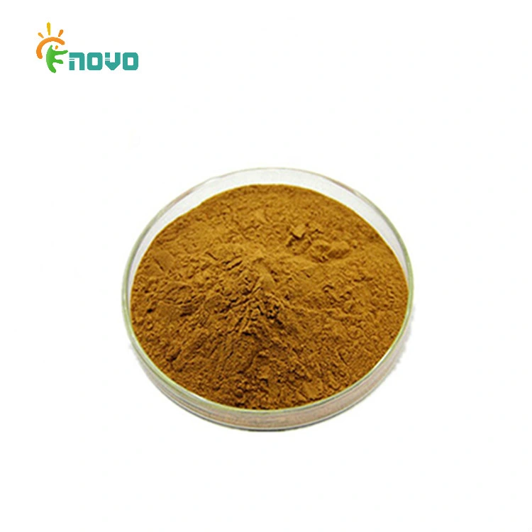 Pure Natural Herbal Medicine Organic Dandelion Root Extract Powder HPLC for Liver Health