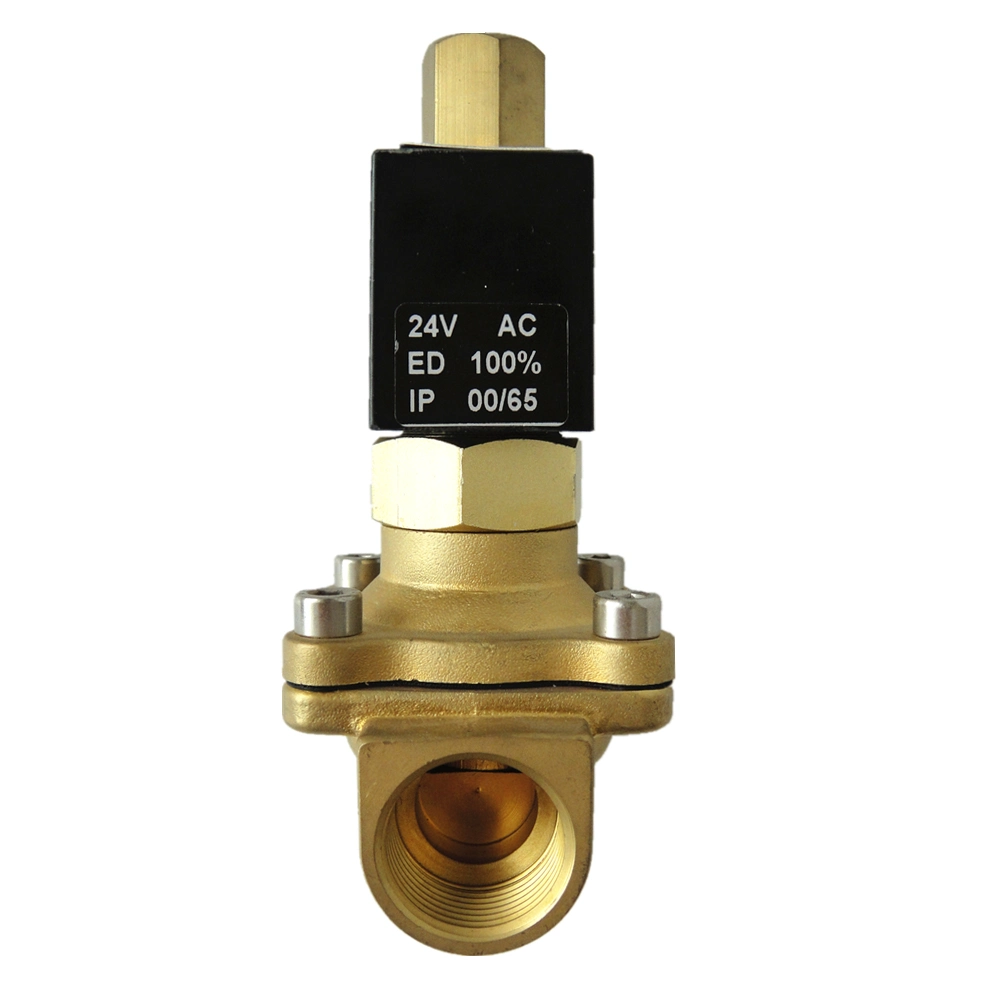 2W Series IP65 Normally Open Brass Body 12V/220V Air Water Gas Solenoid Valve