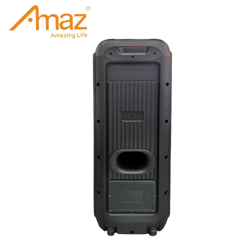 AMAZ Hot Sales Double boîtier audio 10 pouces Bluetooth portable Haut-parleur