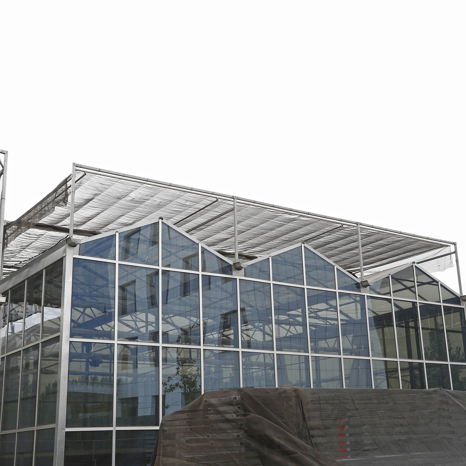 500m2 Multi-Span Venlo Type Glass Farm Agricultural Greenhouse