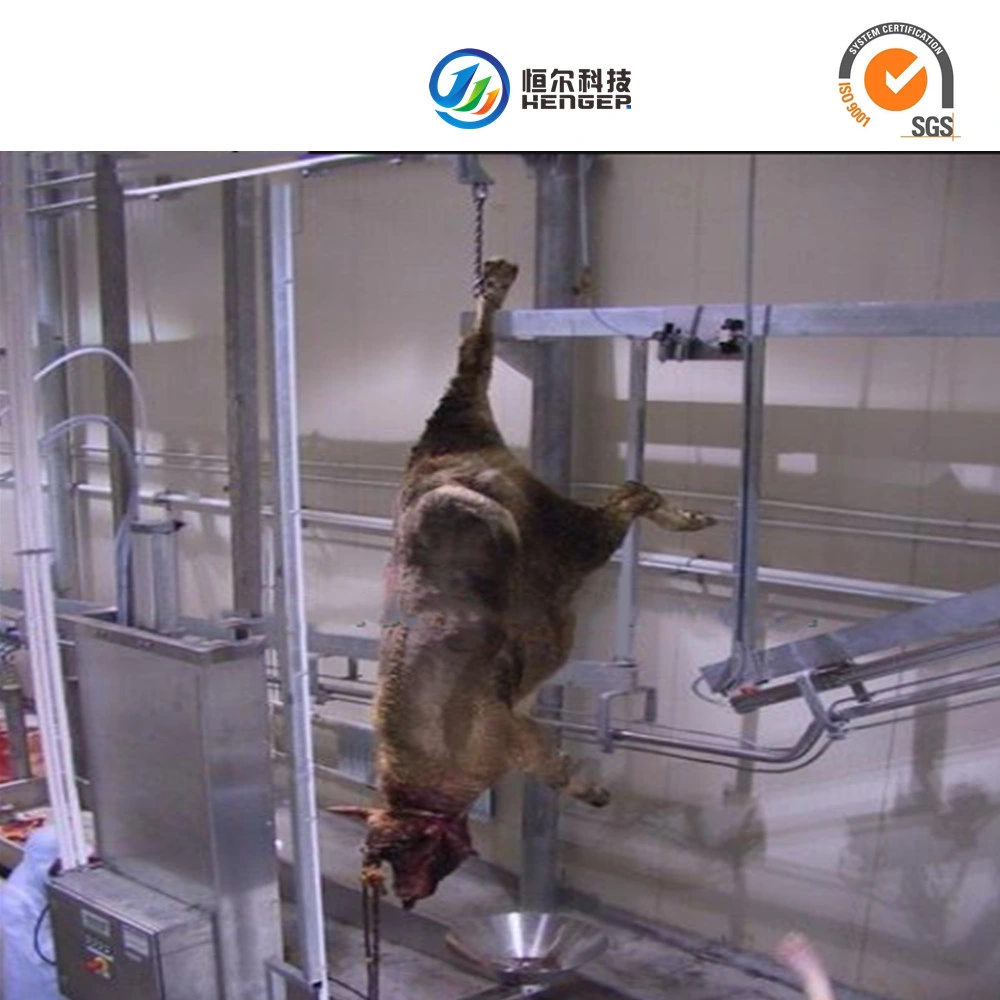 Matadero de ganado vacuno de carne de equipos de sacrificio de la máquina de mecanizado