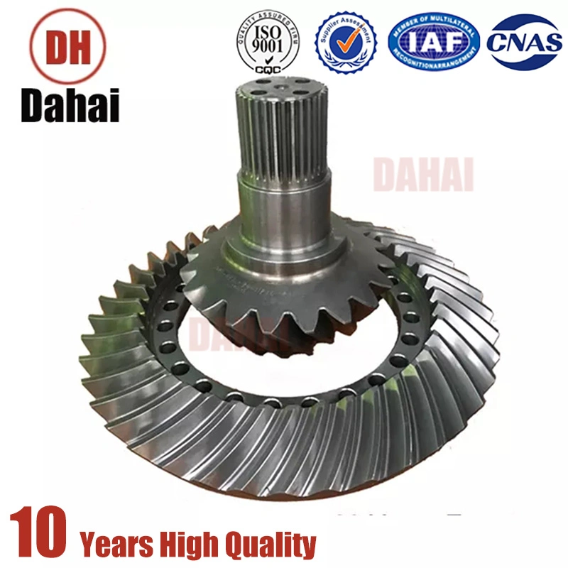 Dahai Japan Spiral Bevel Gear 15019463 for Terex Tr100 Parts