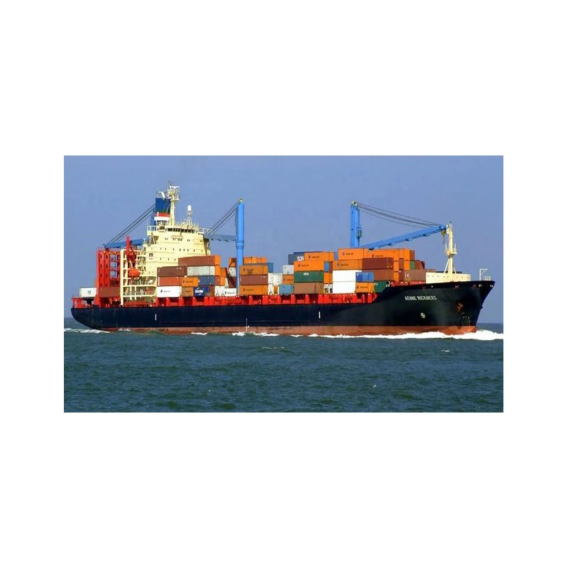 Professional Sea Freight Shipping Agent From China to Canada