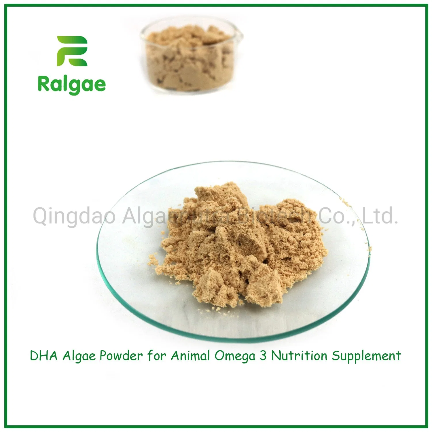 Microalgae Schizochytrium Powder Feed Grade 18% DHA for Pet Nutrition Supplements CAS6217-54-5