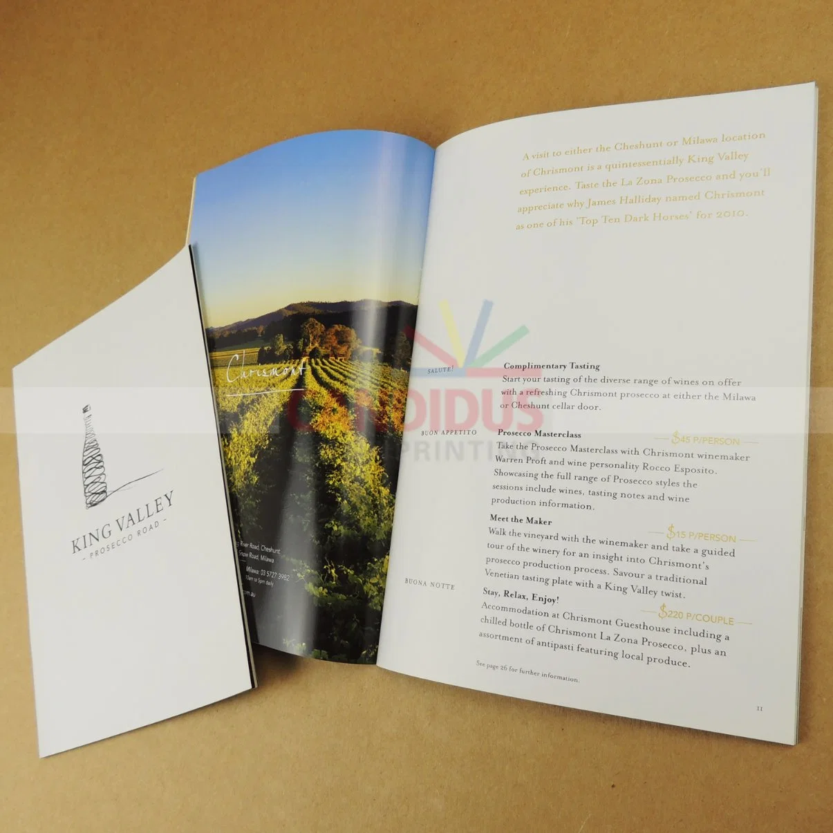 Cost-Effective Catalog Printing Booklet Brochure Printing