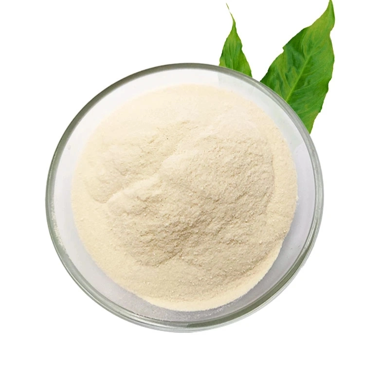 Aditivos alimentarios Gelatina Guargum Guar Gum polvo CAS 9000-30-0