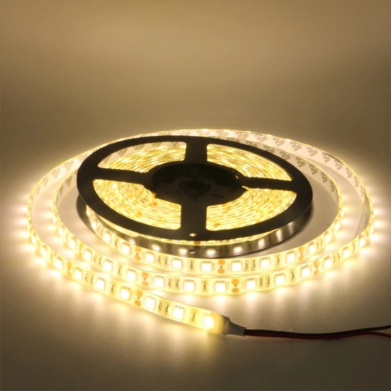 High quality/High cost performance Color Temperature Custom RGB RGBW Light 12V Flexible RGB Strip Light