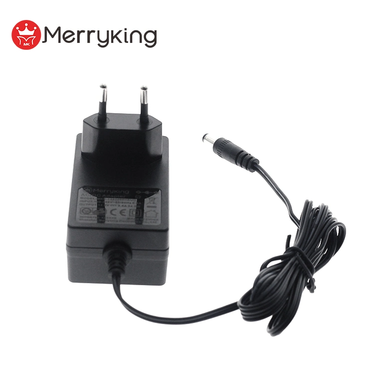 TUV CE GS Approved AC DC Adapter 12V 1A 2A 3A 36W Power Adaptor for Air Purifier