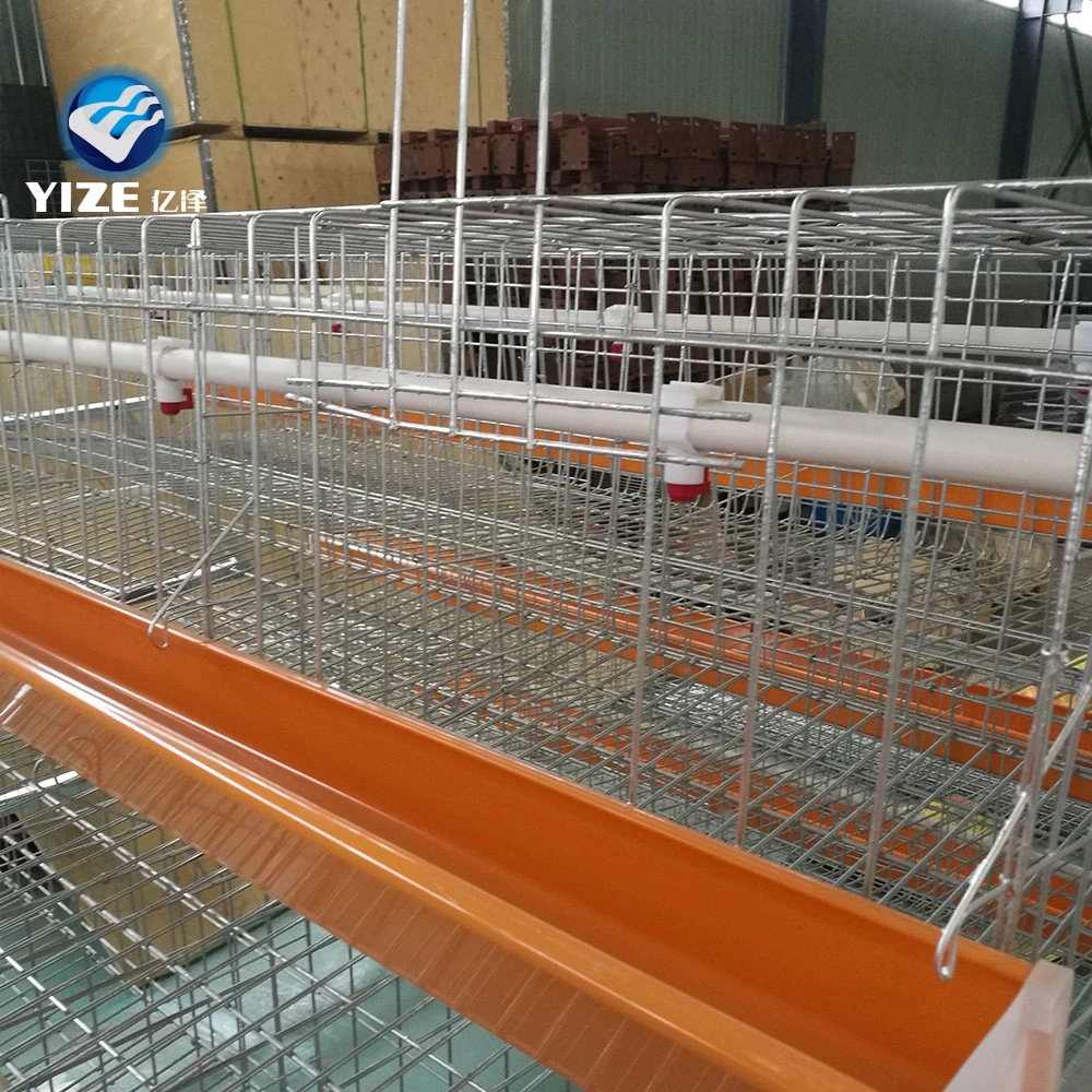 Nigeria Chicken Layer Cage for Poultry Farm