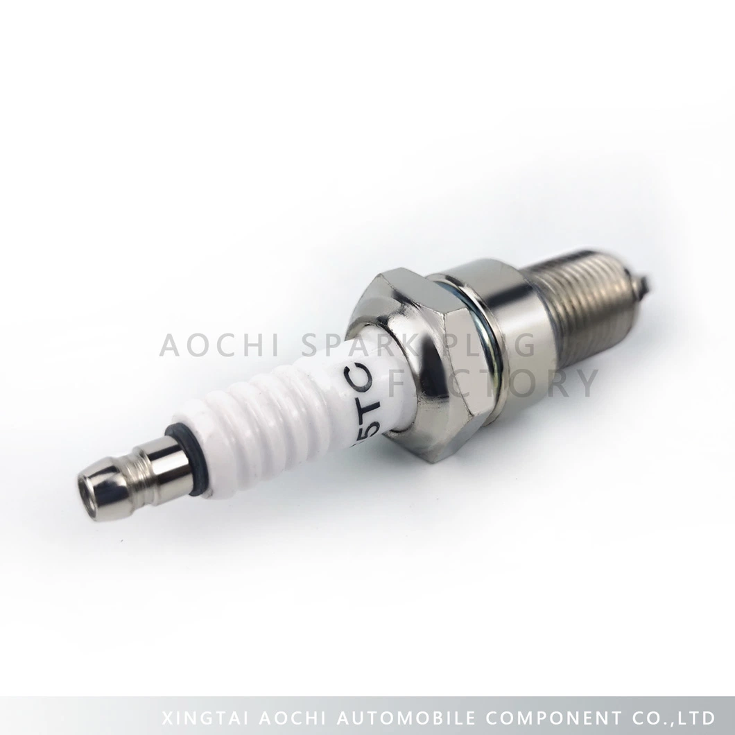 Cheap OEM&ODM Factory Motorcycle Spare Parts Spark Plug (F5TC)