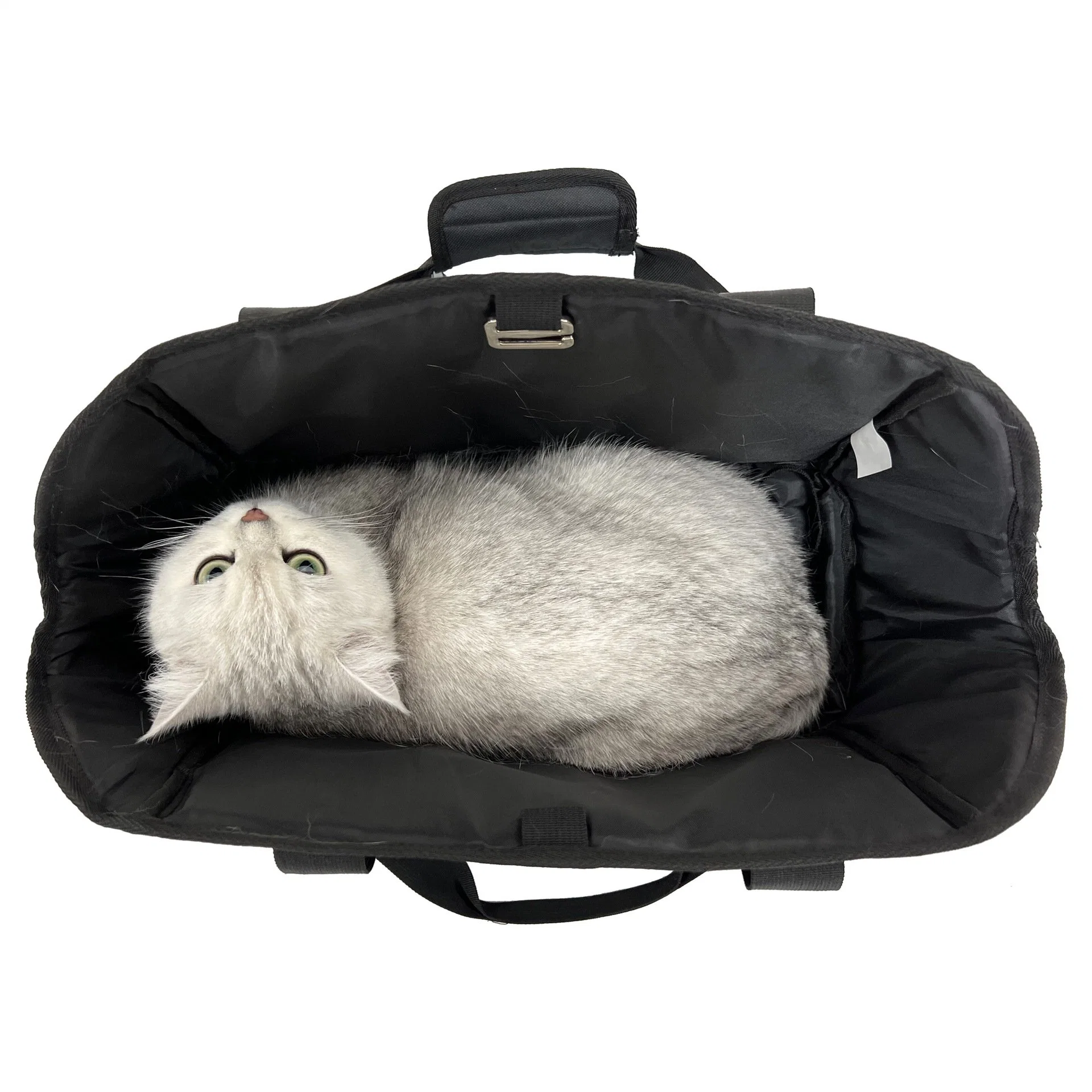 Support portable pour animal de compagnie pour sac de voyage pour animal de compagnie