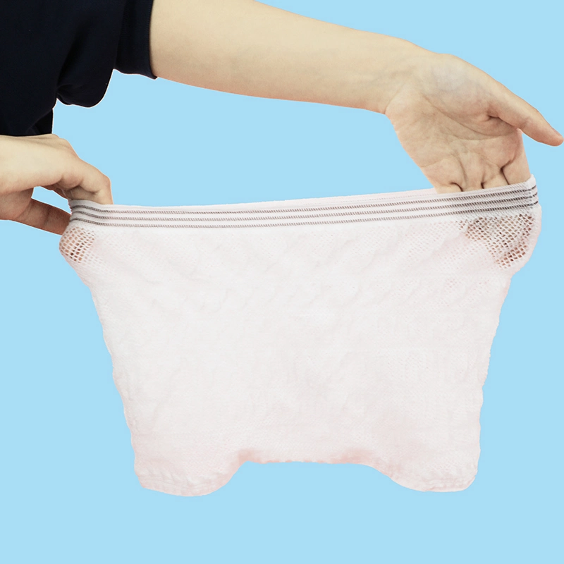 Super Soft High Elastic Mesh Disposable Underpants