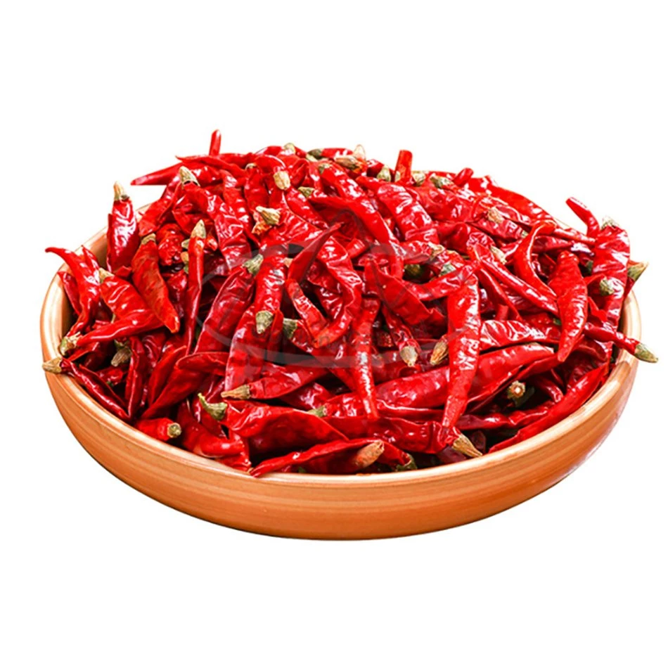 Organic Crop Spicy Dried Chili Super Hot Export Overseas