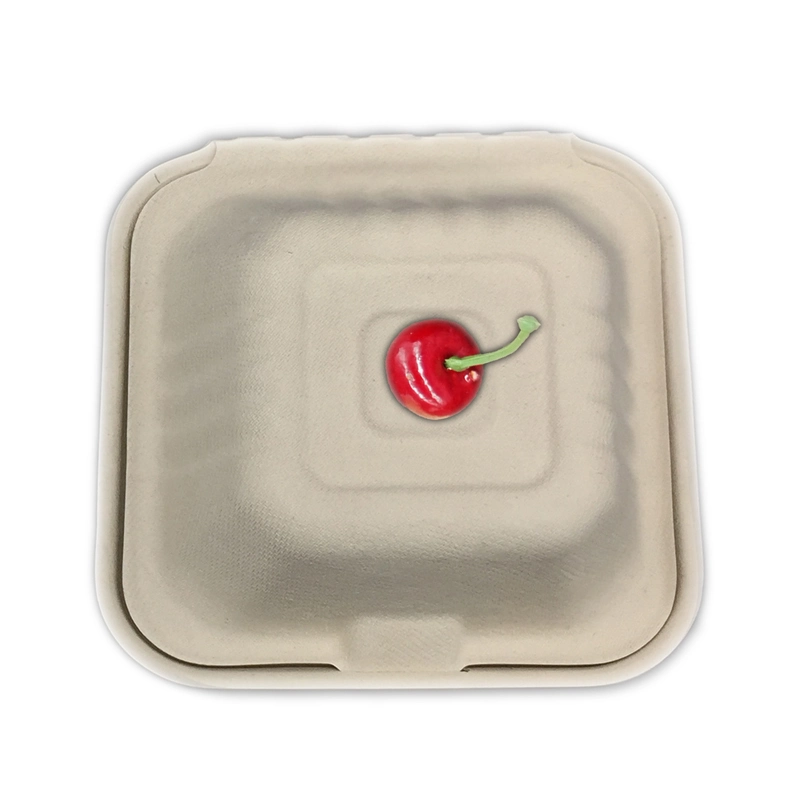 Customized Eco-Friendly Biodegradable Sugarcane Bagasse Microwave Paper Bento Takeaway Take out Compostable Disposable Food Container