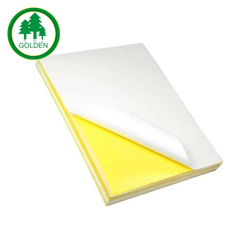 Self Sticky Adhesive Photo Paper for Printer Sticker Paper A4 Glossy for Print Logos Color