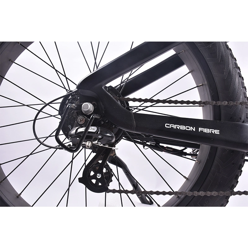 40% off 750W Bafang Rmg062.750 Motor Carbon Fiber Fat E Bicycle