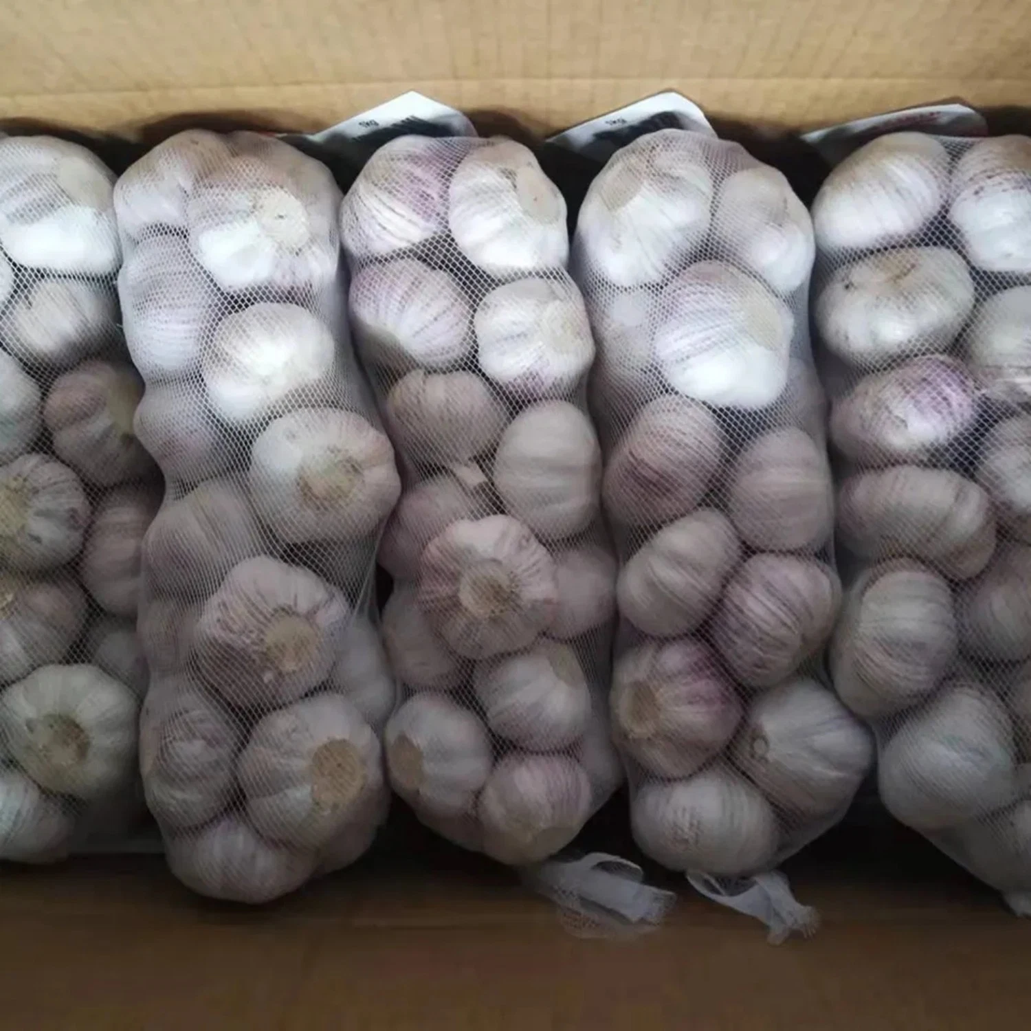 4.5cm 5.0cm 5.5cm 6.0cm 10kg Carton Normal White Fresh Garlic Price