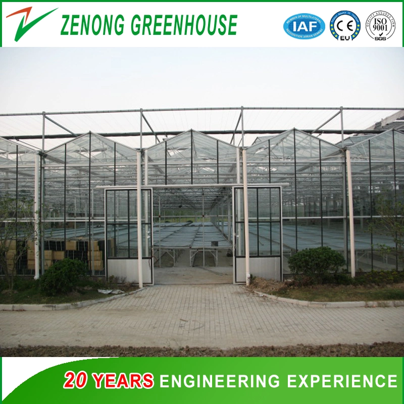 Inteligente Glass Green House para legumes frutas flores