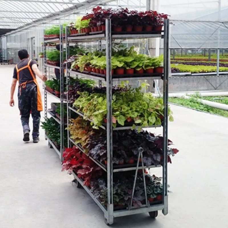 Greenhouse Gardening Mobile Flower Transportation Trolley Danish Cart for Nursery Use