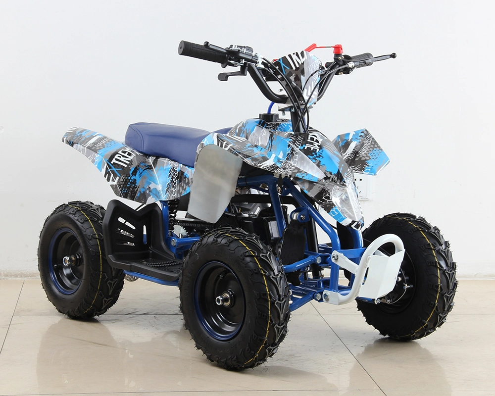 350W, 500W, 800W, 1000W Electric ATV Mini Quad for Kids