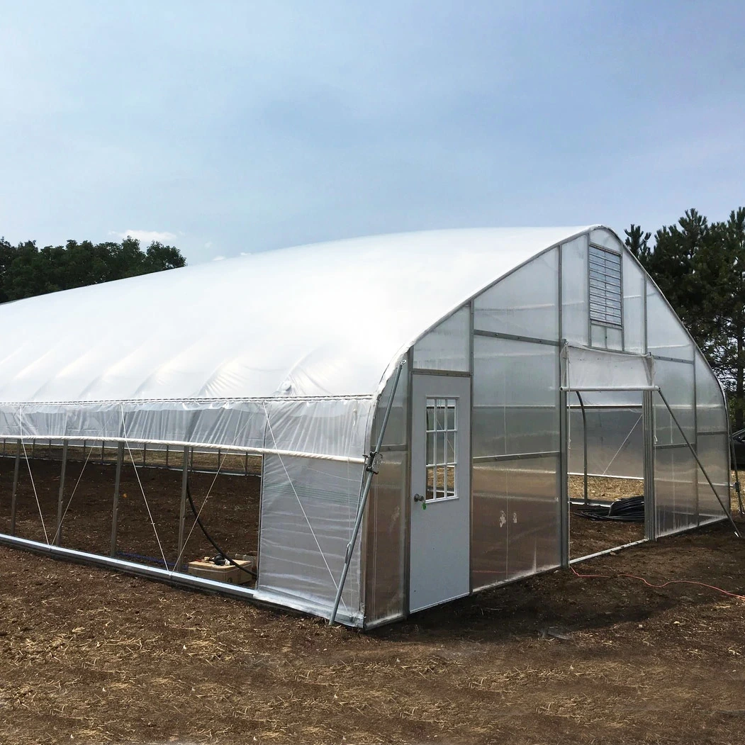 China Single-Span Poly Tunnel Greenhouses with Gi Steel Structure