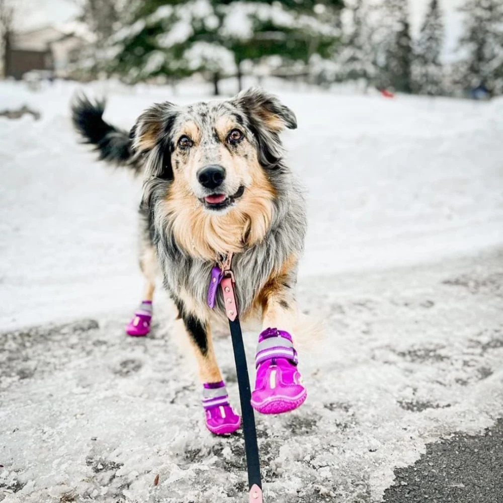 Wasserdichte Anti Rutsch Schnee Hiking Hundeschuhe für Winter 4 PCS