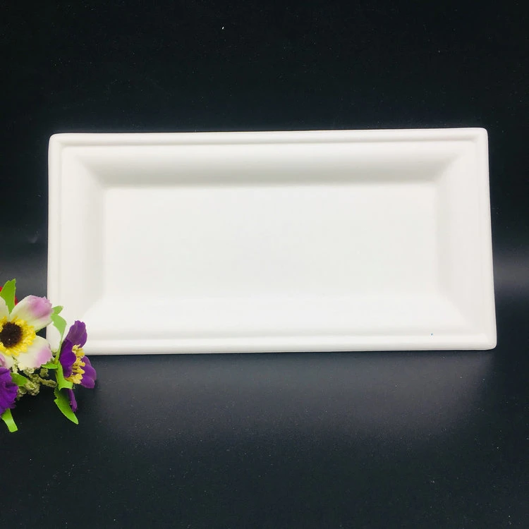 Bio Bagasse Rectangular Plate Party Dinnerware Food Container