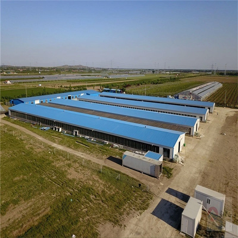 L'usine ferme avicole d'élevage de poulets de chair d'alimentation de l'équipement