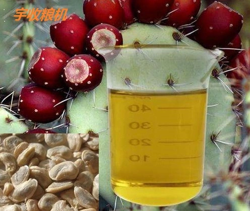 Cactus Seed Oil Produce Line, Oil Press Machine Produce Line, Cactus Seed Oil Produce Equipment