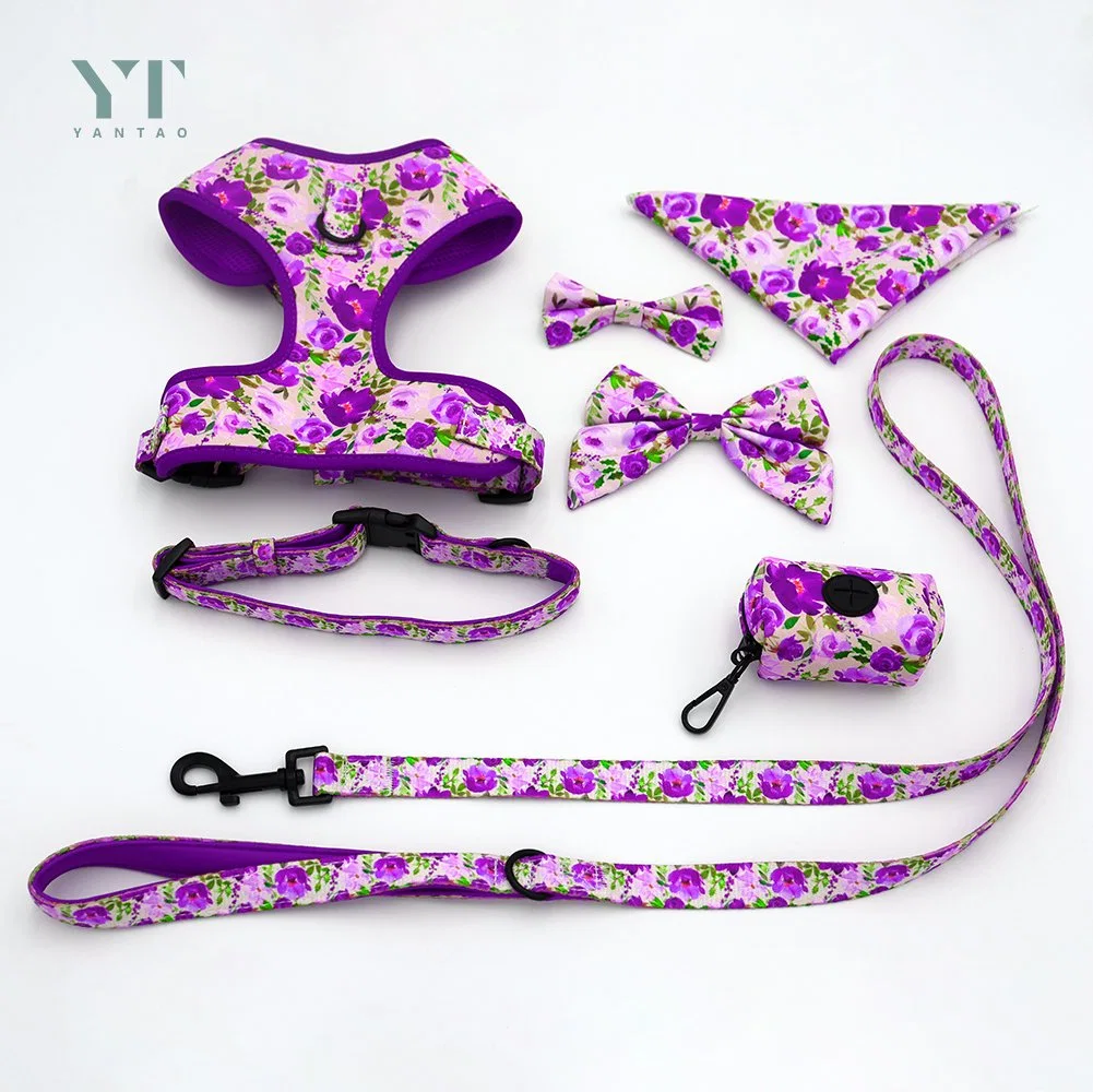 PET Supplier Custom Pattern Luxury Printed Mesh Adjustable Collar Leash Крепление для собаки Bandana