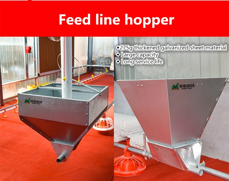 New Automatic Feeding Equipment Auger System Bird Feeder