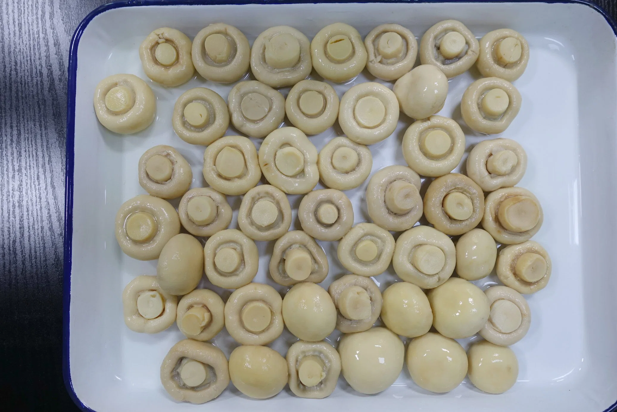 2840g Canned Food Canned Mushroom Whole in Brine with High quality/High cost performance 