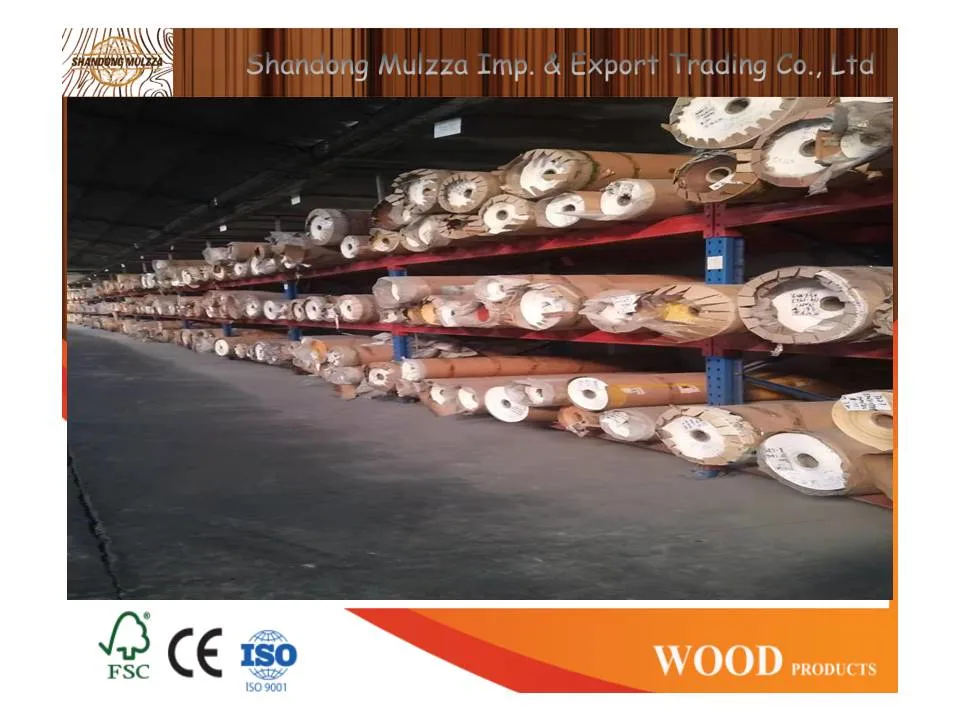 Different Wood Grains Melamine Impregnated/Decorative/Poly/Gogerous/PU Paper