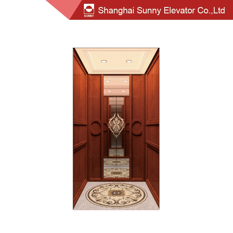 Home Elevator Ceiling Steel Plate Baking Paint and LED Lighting