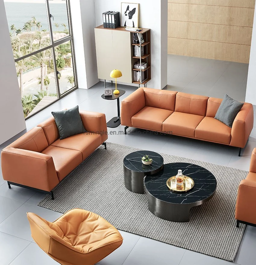 Individuelle Möbel Leder Sofa Couch auf Metall Rahmen Wohnzimmer Möbel