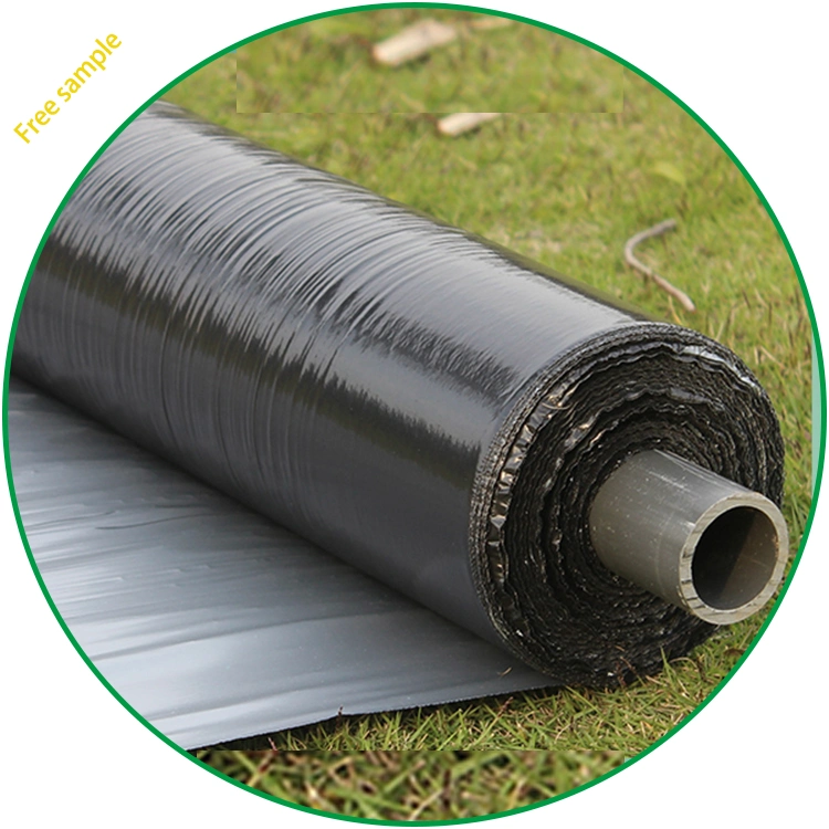 25 Micron 1.2m Wide Polyethylene Plastic Mulch Film Agricultural Tomato Mulch Film