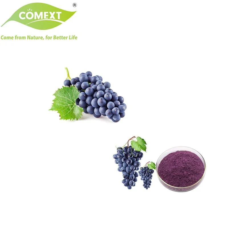 Fabricante de Comext Almacén de EE.UU. el 100% Natural Soluble en agua con zumo de uva en polvo Freeze-Dried fruta de uva en polvo