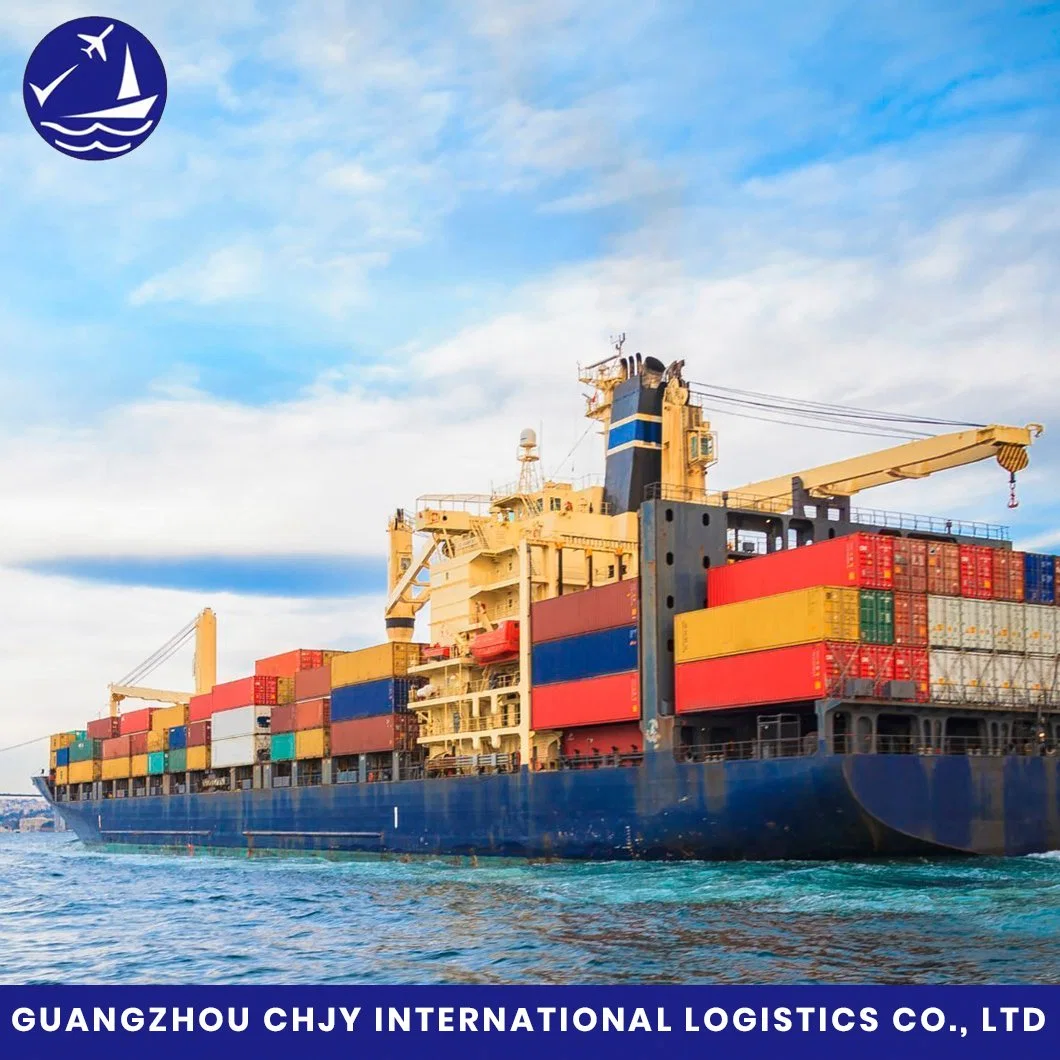 Shipping From China Shanghai/Shenzhen/Ningbo/Qingdao/Tianjin/Dalian to USA/Canada/Europe/UK/Australia Professional Shipping Freight Forwarder Sea Freight