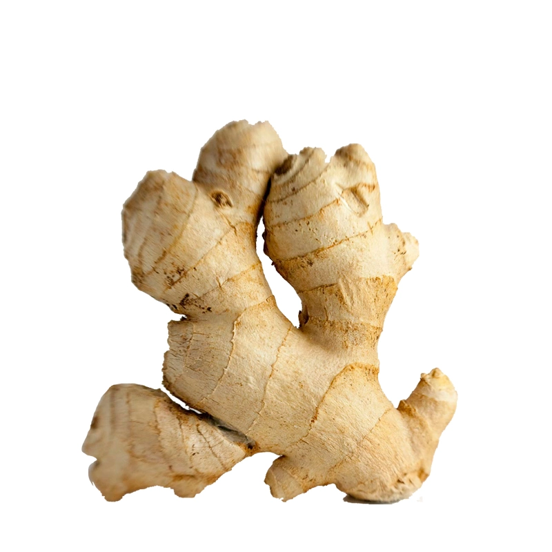 Good Quality Wholesale/Supplier Ginger Price Air Dry Ginger