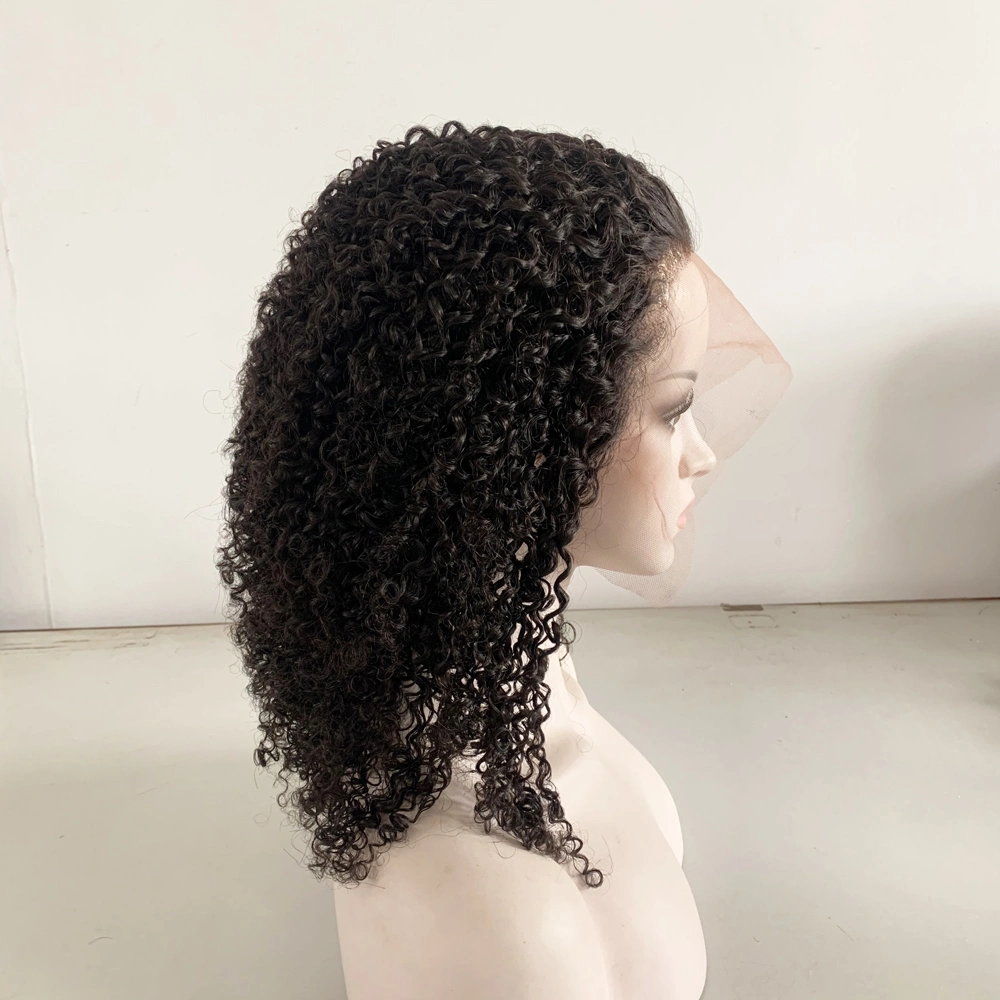 Wholesale/Supplier Quality Hot Sales Afro Curly Natural Huaman Hair Lace Front Wigs