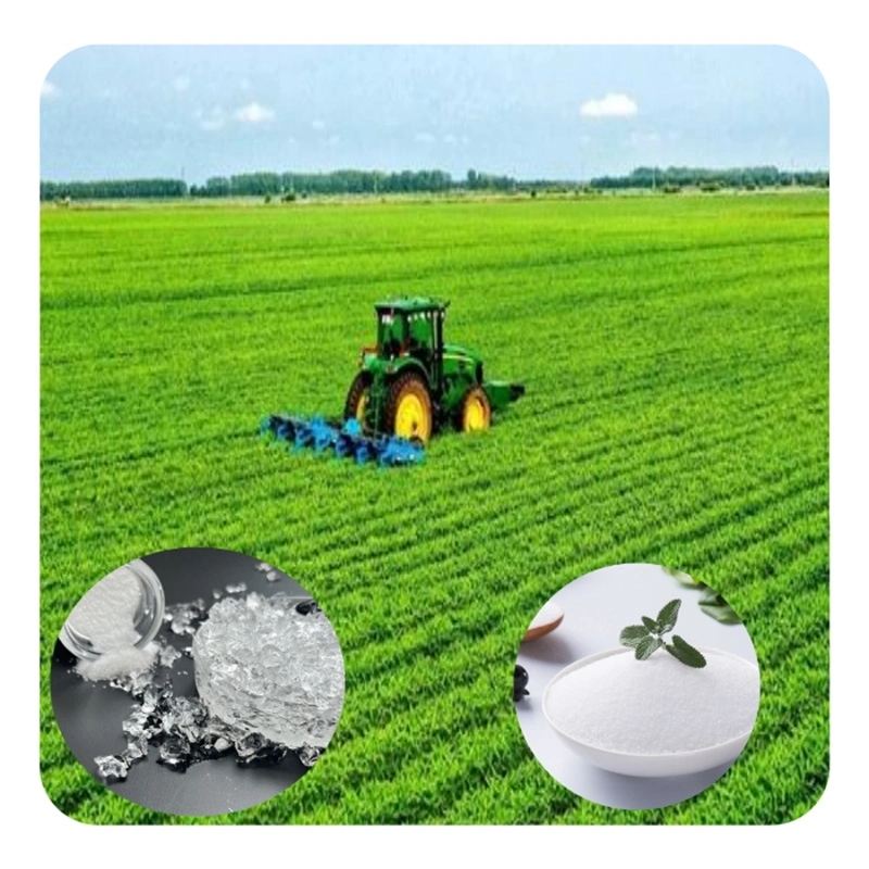Water Saving Chemicals Agricultural Potassium Polyacrylate Kpam