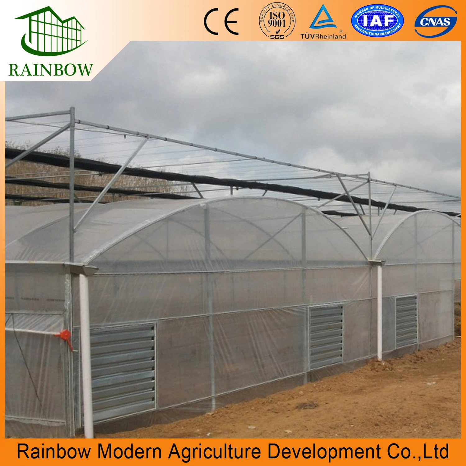 Modern Design PE Film Multi-Span Greenhouse