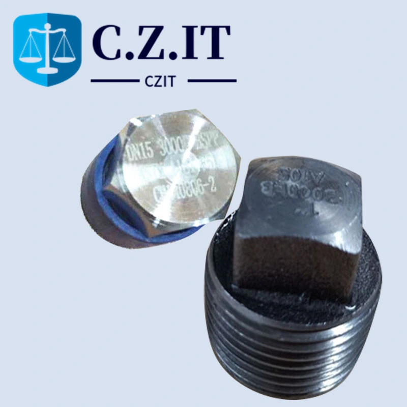 Carbon Steel Pipe Fittings Round Head Forged Female Threaded Cap Plug